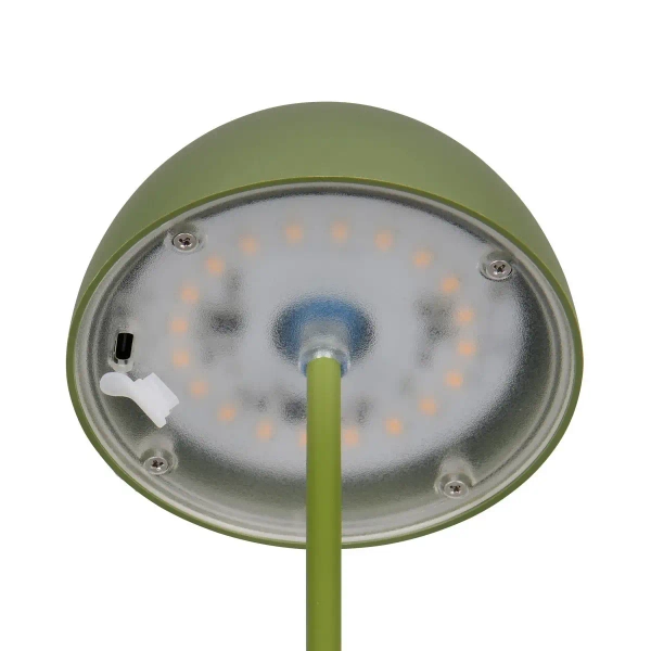 Ściemnialna lampka stołowa grzyb ORTIZ R55601115 LED 2W 3000K IP44 zielony