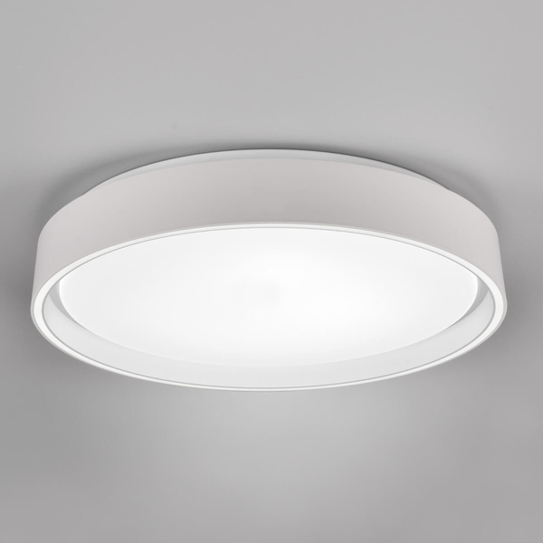 Ledowy plafon gabinetowy Felis R64391031 RL Light 24W 2700-6500K biały