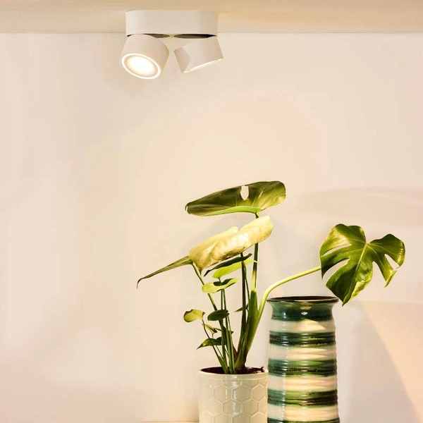 Spot LAMPA sufitowa YUMIKO 35911/16/31 Lucide metalowa OPRAWA tuba LED 16W 2700K regulowana biała