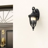 Elewacyjna LAMPA ogrodowa English FE-EB2-M-BLK Elstead FEISS zewnętrzna OPRAWA elewacyjna klasyczna outdoor IP44 czarna przezroczysta