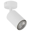 Metalowa tuba downlight ZOOM 33314 Sigma reflektorek biały