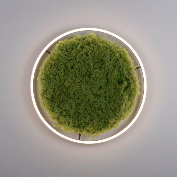Lampa sufitowa salonowa GREEN RITU 15392-66 LED 28W 3000K zielony