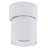 Spot sufitowa lampa punktowa Twist 10576 regulowana metalowa biały