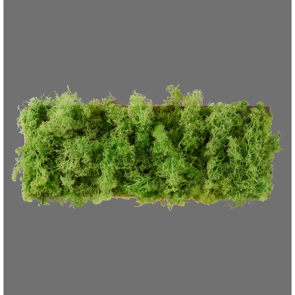 Naścienna lampa dekoracyjna GREEN CARL 15637-66 LED 0,8W 3000K zielony