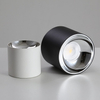 Lampa sufitowa Roller DLW10WW tuba LED 10W 3000K do przedpokoju biała