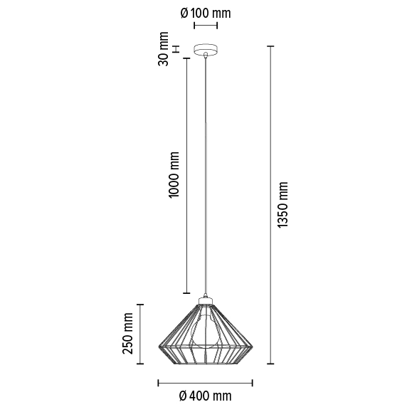 Wisząca lampa RAQUELLE 187249104 klatka metalowa zwis industrialny czarny