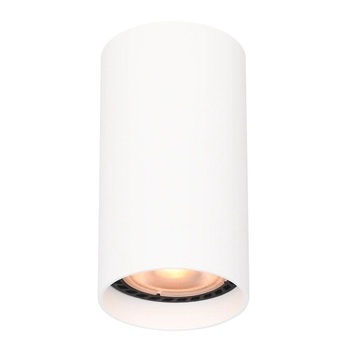 Lampa sufitowa do holu Lopus CLN-48930-S-WH Italux punktowa biała