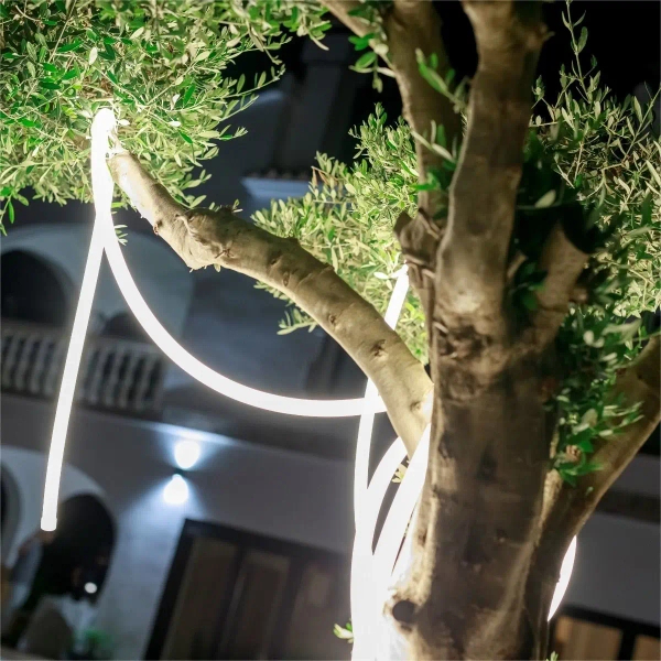 Girlanda zewnętrzna NEO 3117 LED 5W 2700K IP65 biała
