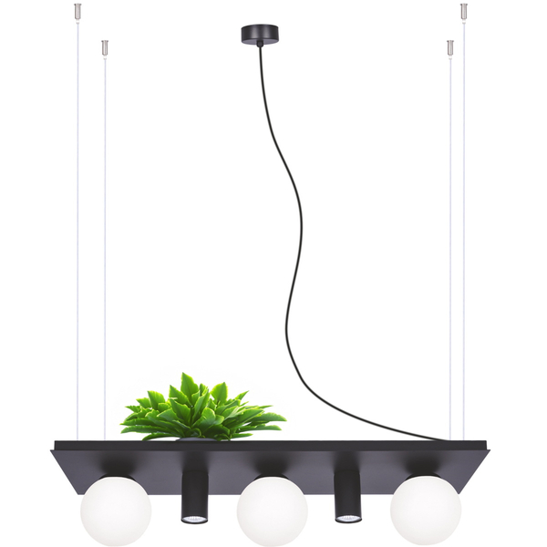 Lampa wisząca Plant Shelf 5555 Zumaline półka na rośliny kule czarne białe