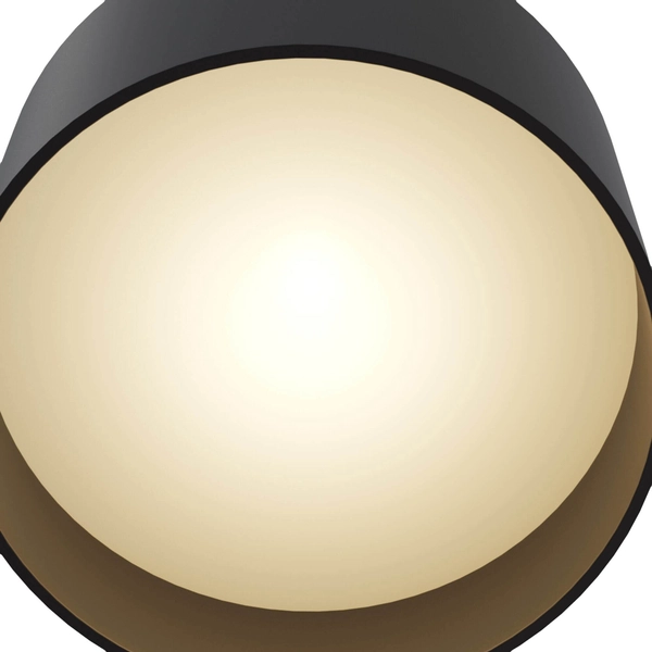 Metalowa lampa sufitowa Dafne C009CW-L12B LED 12W czarna