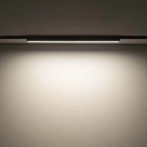 Lampa sufitowa 1-obwodowa 11721 LED 20W 3000K czarna