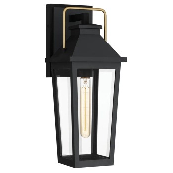 Elewacyjna lampa ścienna Buckley QZ-BUCKLEY-M-MBK szklana IP44 czarny