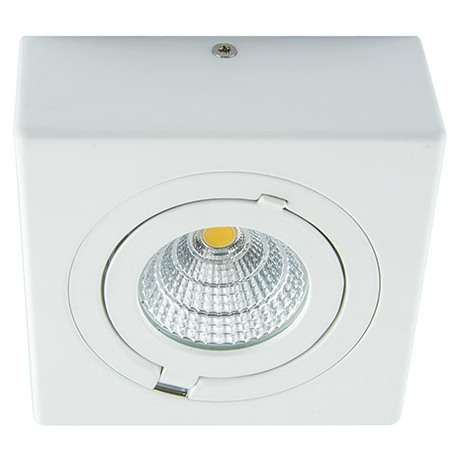 Oczko LAMPA natynkowa IGOR LED 9W 4000K 03128 Ideus metalowa OPRAWA sufitowa REFLEKTOREK regulowany biały