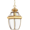 Balkonowa lampa wisząca Newbury QZ-NEWBURY8-M-PB Quoizel IP23 przezroczysta mosiądz