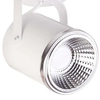 LAMPA sufitowa FLESZ 32675 Sigma reflektorowa OPRAWA regulowana LED 5W 3000K metalowy spot biały