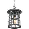 Wisząca LAMPA industrialna Crusade QZ-CRUSADE8-BLK Elstead QUOIZEL okrągła OPRAWA szklany ZWIS na łańcuchu IP44 czarny