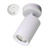 Lampa sufitowa z regulacją Tore TLS006-WH Zumaline tuba metal biały