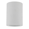 Sufitowa lampa natynkowa Ligno 10932 tuba okrągły IP44 biały