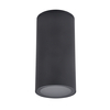 Sufitowa lampa ogrodowa Atlanta czarny downlight elewacyjny outdoor