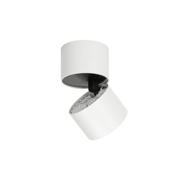 Regulowany downlight pokojowy Herios LED 12W 3000K tuba z regulacją biała