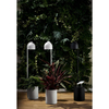 LAMPA stojąca BOTANICA 40849102 Kaspa metalowa OPRAWA podłogowa tuba z doniczką czarna