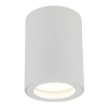 Sufitowa lampa natynkowa Ligno 10932 tuba okrągły IP44 biały