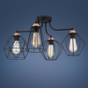 Industrialny plafon Galaxy 1645 TK Lighting metalowy czarny miedziany