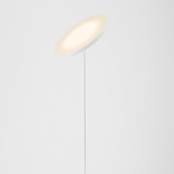 Regulowana lampa podłogowa BUENA LE44291 LED 30W 3000K biały
