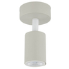 Lampa ścienna do przedpokoju Livia 10222 regulowany reflektorek beżowa