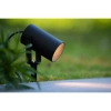 Naświetlacz ogrodowy TAYLOR 09832/01/30 Lucide IP65 regulowany czarny