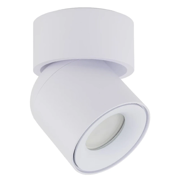 Spot sufitowa lampa punktowa Twist 10576 regulowana metalowa biały