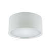 Lampa sufitowa ROLEN LED 15W 3000-6500K 03110 metalowa okrągły plafon biały