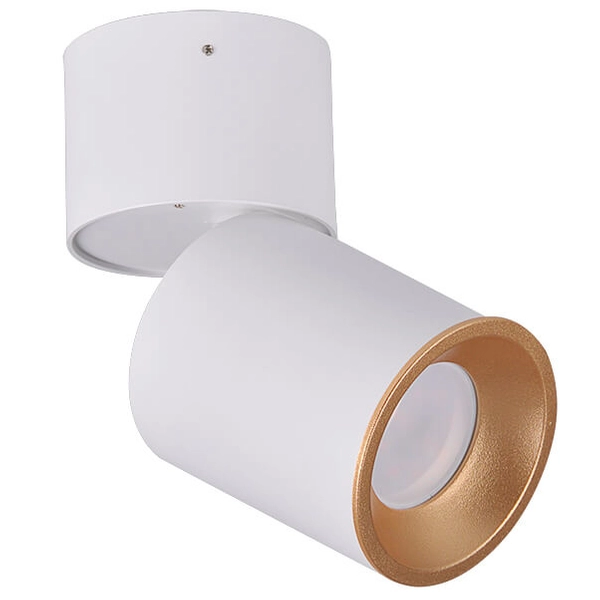 Regulowana lampa sufitowa Nixa downlight tuba biała złota