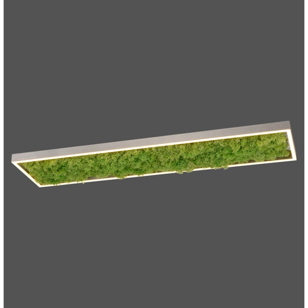 Dekoracyjny plafon GREEN KNUT 15623-66 LED 25W 3000K do jadalni zielony