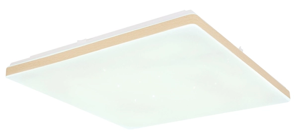 Lampa sufitowa Ully 48025WSH zdalnie sterowana LED 24W 2700-6000K biała