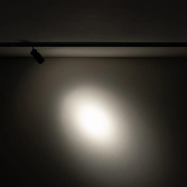 Sufitowa lampa 1-obwodowa 11713 LED 2W 3000K czarny