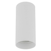 Lampa sufitowa punktowa Mono 10776 Nowodvorski tubka na korytarz biała
