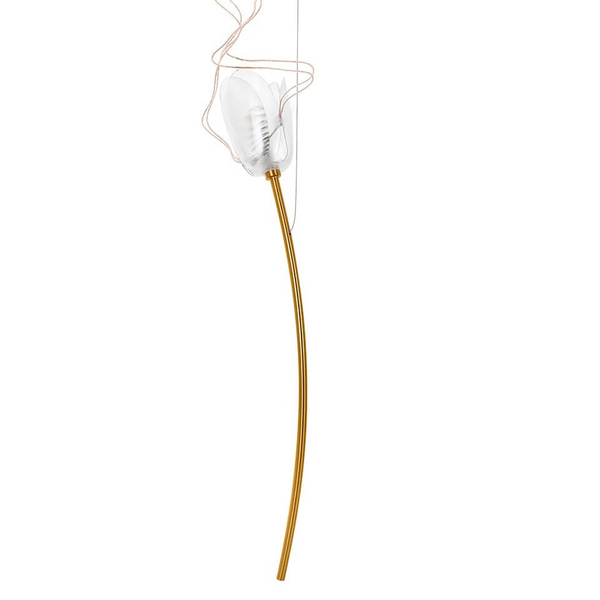 Sypialniana lampa wisząca Tulippe MSE1501100171 Moosee tulipany złote
