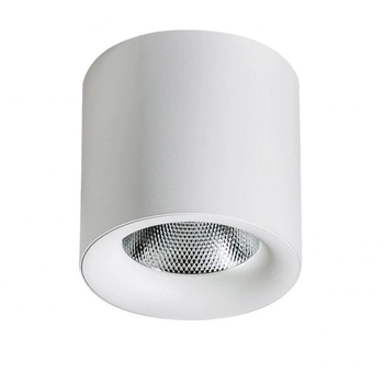 Pokojowa lampa sufitowa Mane biała tuba LED 10W nowoczesna