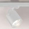 Reflektorowa LAMPA sufitowa TENRI 7702 Shilo metalowa OPRAWA tuba do 3-fazowego systemu szynowego biała