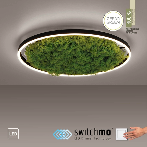 Lampa sufitowa salonowa GREEN RITU 15392-66 LED 28W 3000K zielony