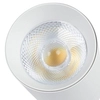 1-fazowa lampa sufitowa VISION RS1W-30CCT LED 30W 3000-5700K biała