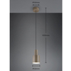 Lampa zwisająca ELIOR DL141319400 Trio regulowana wysokość szary
