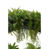 Lampa wisząca Gardens MSE1501100436 LED 115W zmiana barwy roślina zielony