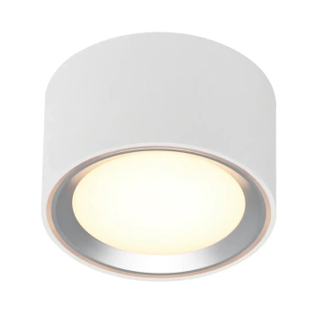 Sufitowa lampa tuba FALLON 47540132 LED 5,5W 2700K ściemnialna biały