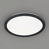 Łazienkowa lampa sufitowa Camillus R62922432 RL Light LED 24W 3000K czarna