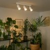 Trójpunktowa lampa przysufitowa Pipe Ring Spot ML2072 na belce biały