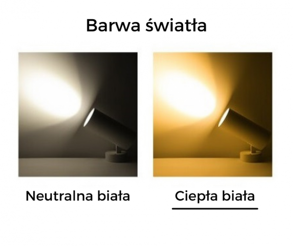 Ledowy reflektor Blaupunkt DRN-12WW LED 12W 3000K czarny