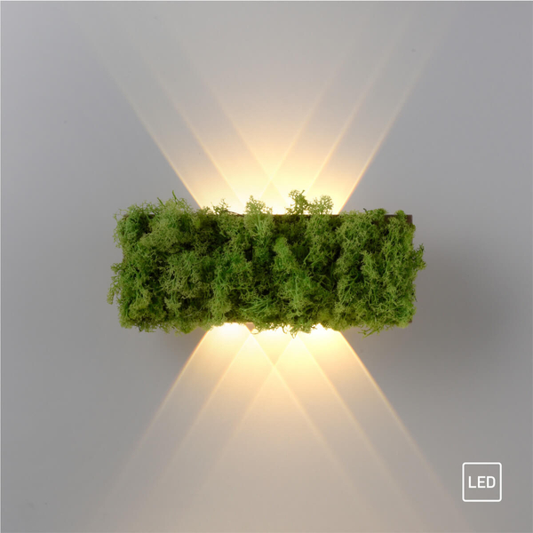 Naścienna lampa dekoracyjna GREEN CARL 15637-66 LED 0,8W 3000K zielony
