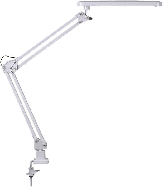 Stojąca LAMPA stołowa RAUL 4420 Rabalux biurkowa LAMPKA industrialna LED 5,6W 4500K srebrna